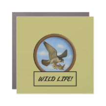Peregrine Falcon Dark Khaki Car/Truck Magnet