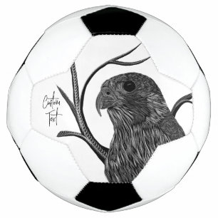 Peregrine Falcon in Tree Branches with Handwriting Soccer Ball