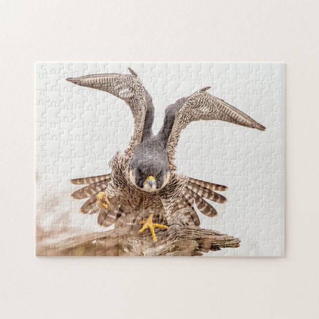 Peregrine Falcon Jigsaw Puzzle (Horizontal)