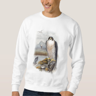 Peregrine Falcon John Gould Birds of Great Britain Sweatshirt