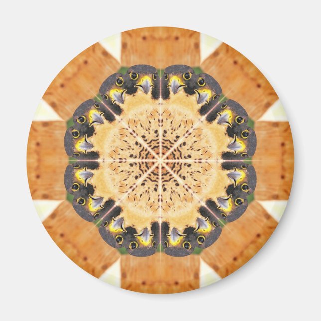 Peregrine Falcon Kaleidoscope Magnet (Front)