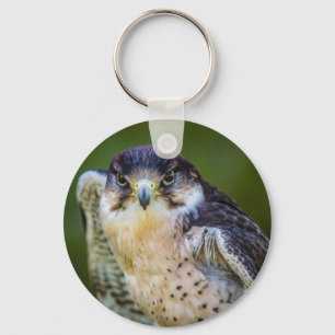 Peregrine Falcon Key Ring