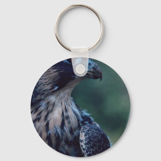 Peregrine Falcon Key Ring (Front)
