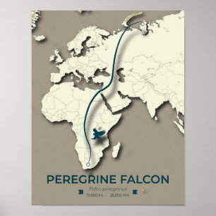 Peregrine Falcon Migration Map – Minimalist Poster