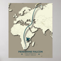 Peregrine Falcon Migration Map – Minimalist