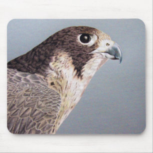 Peregrine Falcon Mousepad