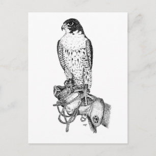 Peregrine Falcon on block postcard