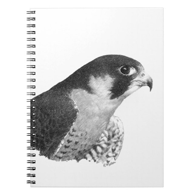 Peregrine Falcon-Pencil Spiral Notebook (Front)