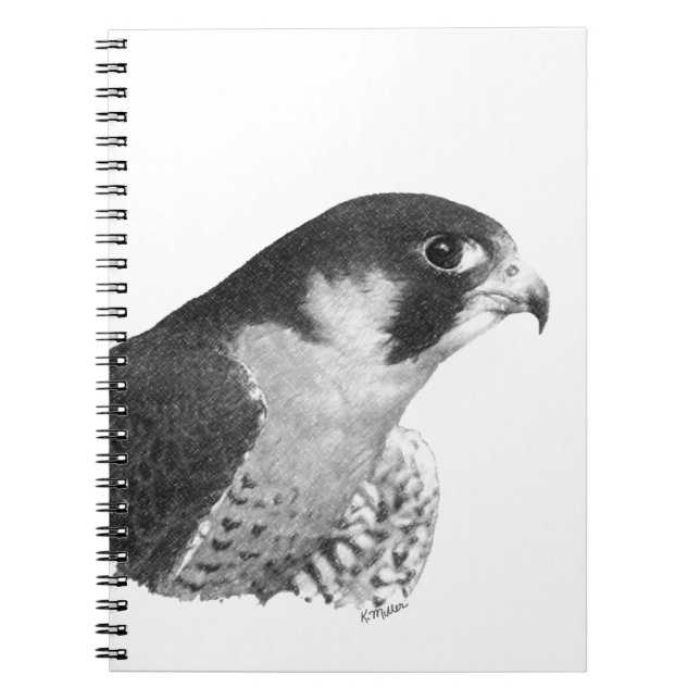 Peregrine Falcon-Pencil Spiral Notebook (Front)