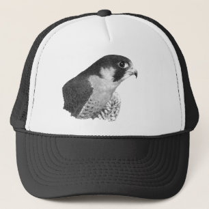 Peregrine Falcon-Pencil Trucker Hat