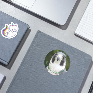 Peregrine Falcon Photo Earth Day Classic Round Sticker