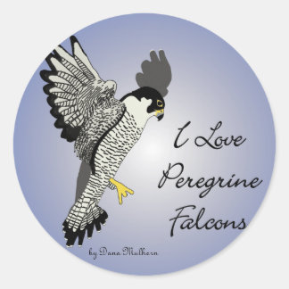 Peregrine Falcon Round Stickers
