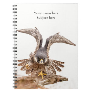 Peregrine Falcon Spiral Notebook