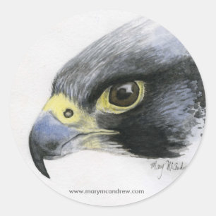 Peregrine Falcon stickers