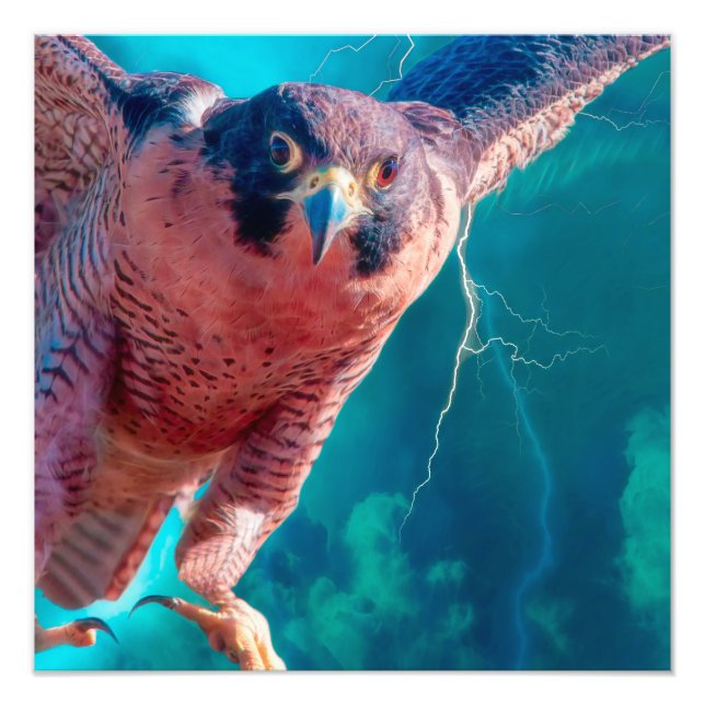 Peregrine Falcon WINGS OF MERCURY Photo Print (Front)