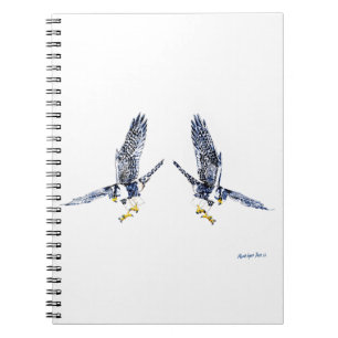 Peregrine Falcons Notebook