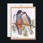 Peregrine Falcons Postcard<br><div class="desc">Peregrine falcons,  two birds perched on a tree limb.</div>
