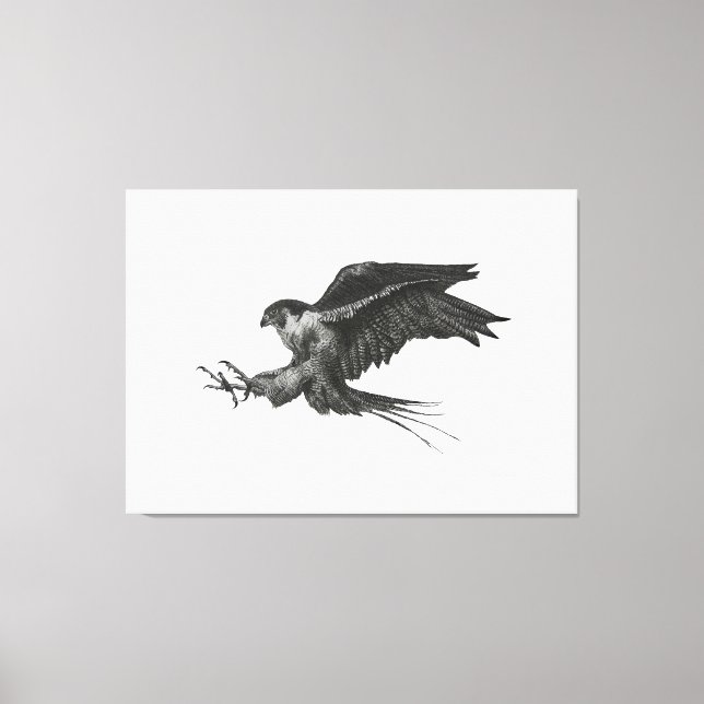 Peregrine Hawk canvas print (Front)