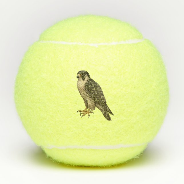 peregrine tennis balls (Front)