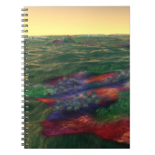Perelandra Notebook