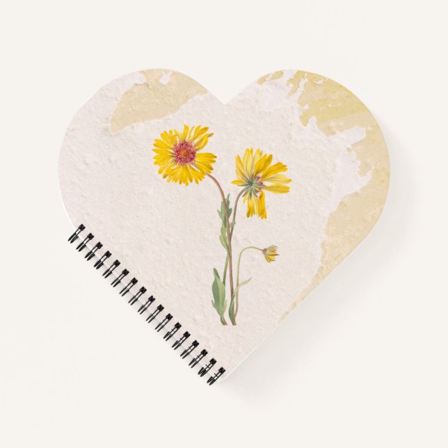 Perennial Gaillardia Flower Notebook (Front)