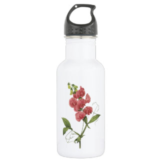 perennial sweet pea by Redouté 532 Ml Water Bottle