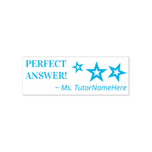 "PERFECT ANSWER!" Educator Rubber Stamp