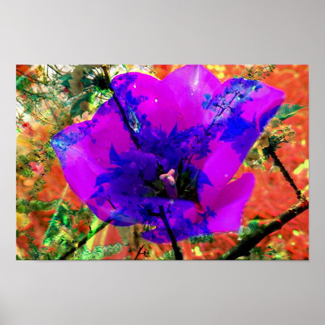 perfect apology poster (Front)