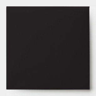 Perfect Chevron/Zig Zag Photography CD Envelope