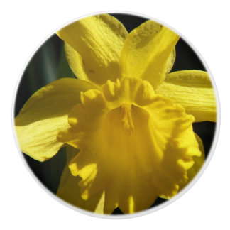 Perfect Daffodil Ceramic Knob