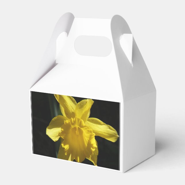 Perfect Daffodil Favour Box (Front Side)