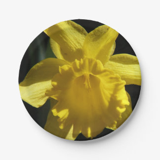 Perfect Daffodil Paper Plate