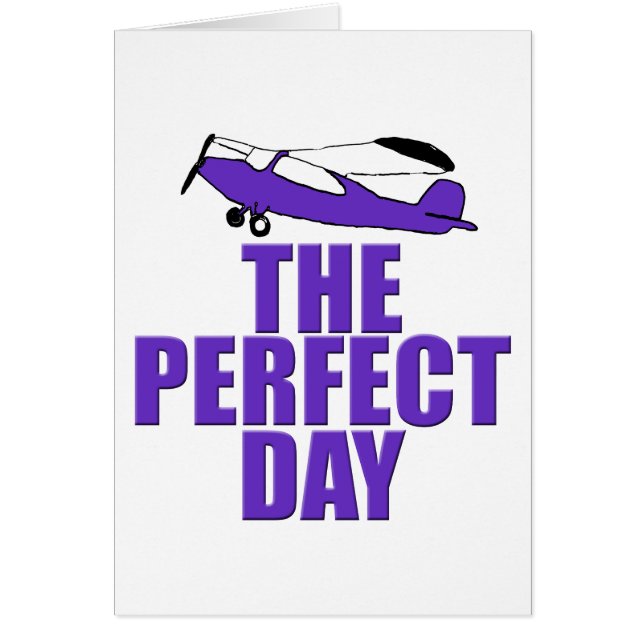 perfect day aeroplane (Front)
