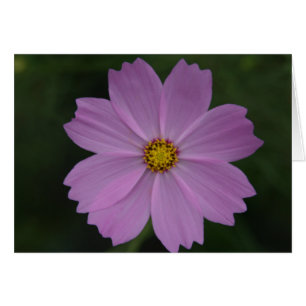 perfect flower
