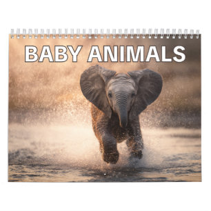 Perfect Gift for Animal Lovers   Baby Animals Wall Calendar