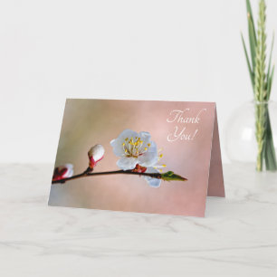 Perfect Japanese Apricot Flower Thank You Card