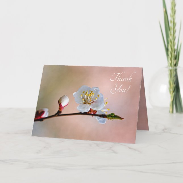 Perfect Japanese Apricot Flower Thank You Card (Front)
