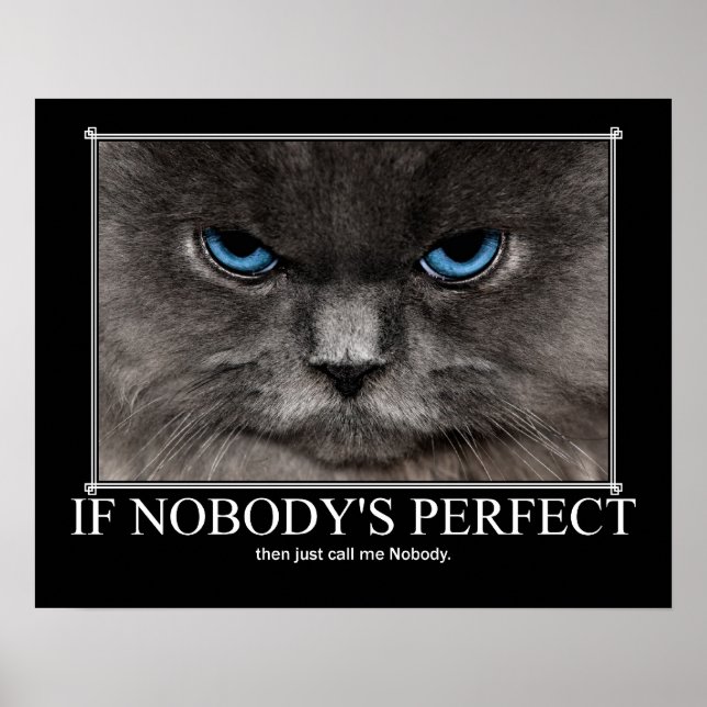 Perfect Nobody Cat Artwork Poster (Front)