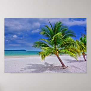 Perfect Palm Tree Tropical Island Beach Poster