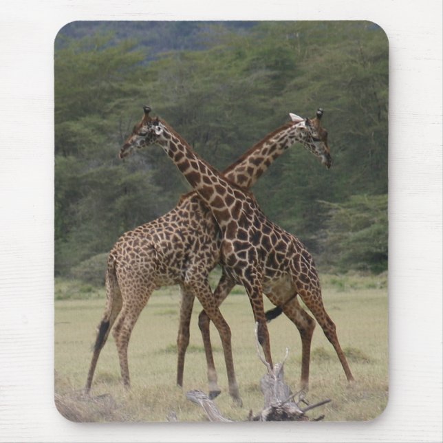 Perfect Partners - Mousepad (Front)