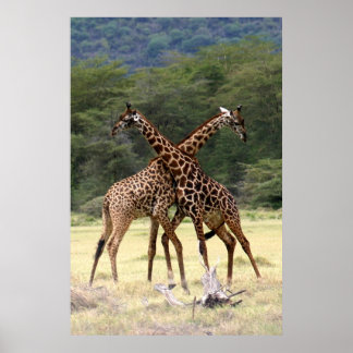 Perfect Partners - Print
