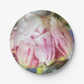 Perfect Peony Paper Plates