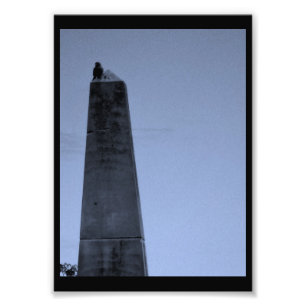 Perfect Perch Photo Print