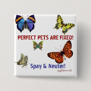 Perfect Pets are Fixed 15 Cm Square Badge