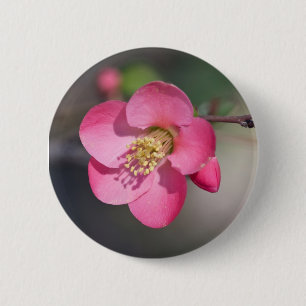 Perfect Pink Flowering Quince 6 Cm Round Badge