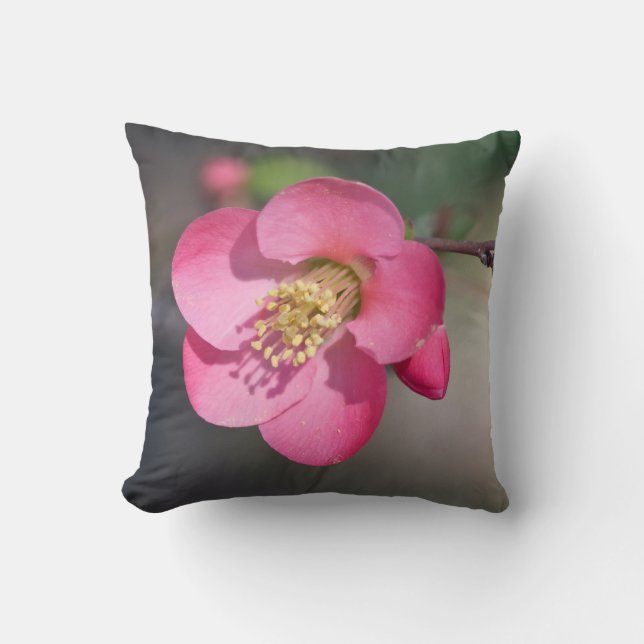 Perfect Pink Flowering Quince Cushion (Front)