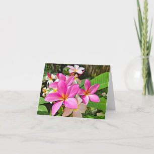 Perfect Pink Plumeria Note Cards