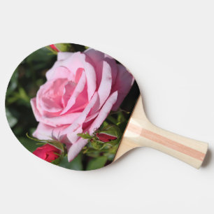 perfect pink rose flower and buds. love, freind ping pong paddle