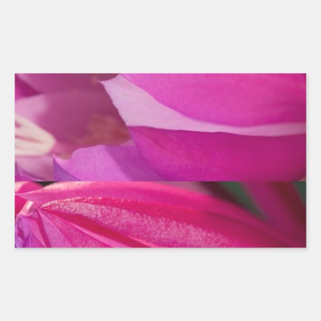 Perfect Pink Seduction: Romantic Flower Hearts Rectangular Sticker (Front)
