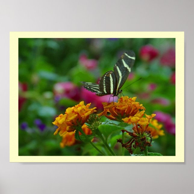 Perfect Place! Poster (Front)